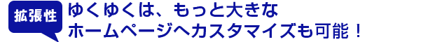 ゆくゆくは、もっと大きなホームページへカスタマイズも可能！
