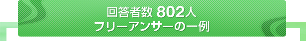 回答者数802人 フリーアンサーの一例
